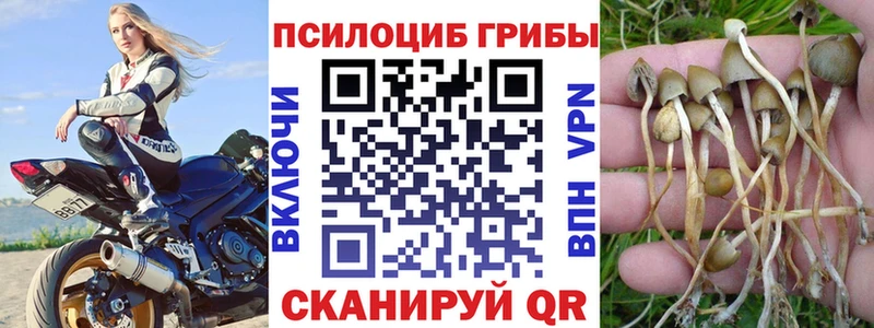 даркнет сайт  Пошехонье  Галлюциногенные грибы MAGIC MUSHROOMS 